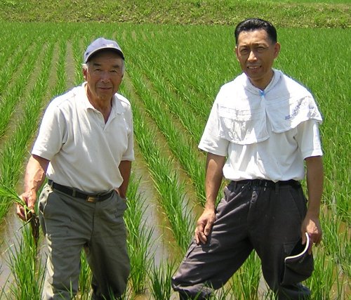 今年初の真夏日＝気温摂氏32度