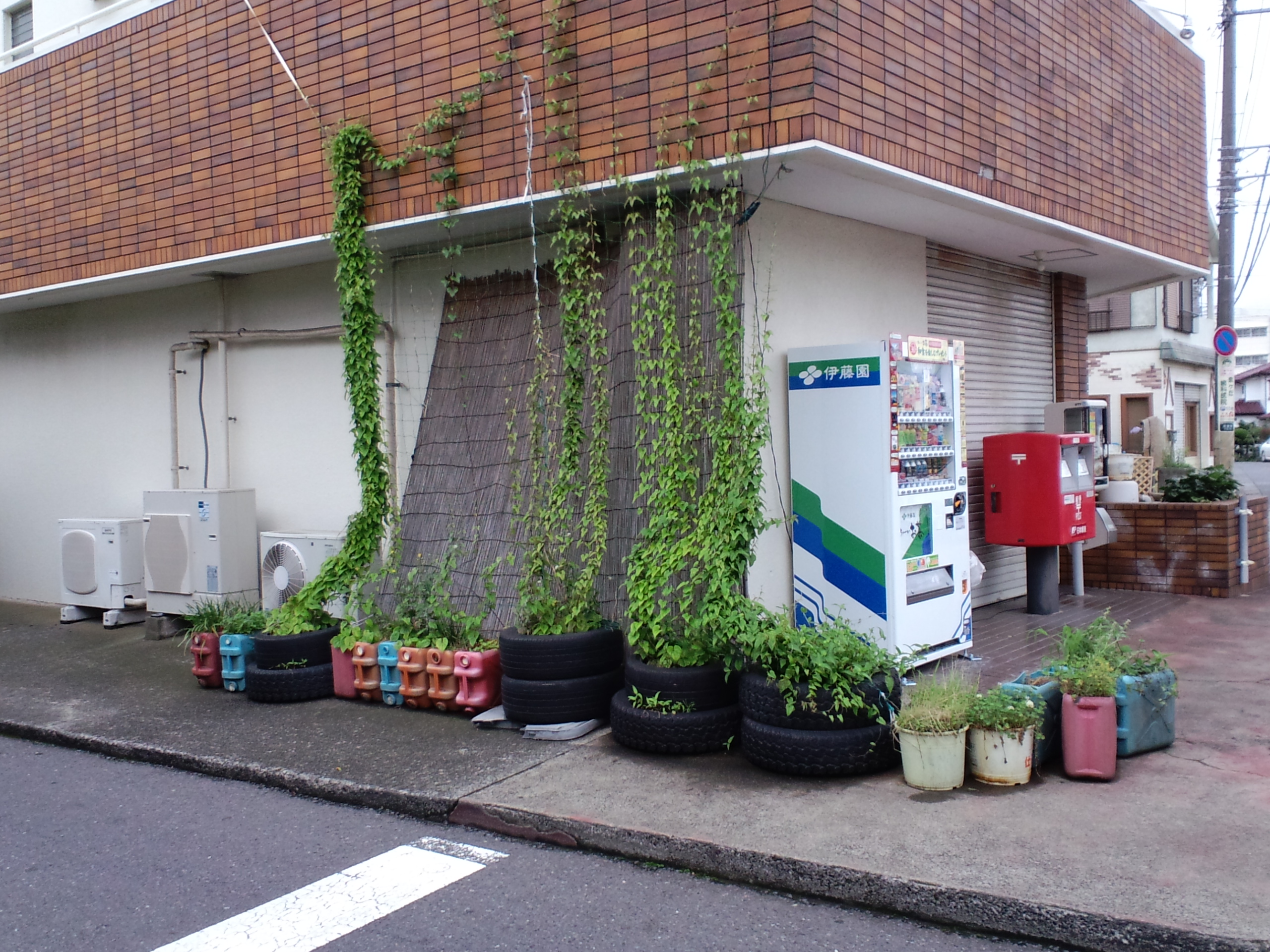 夏の定番グリーンカーテン