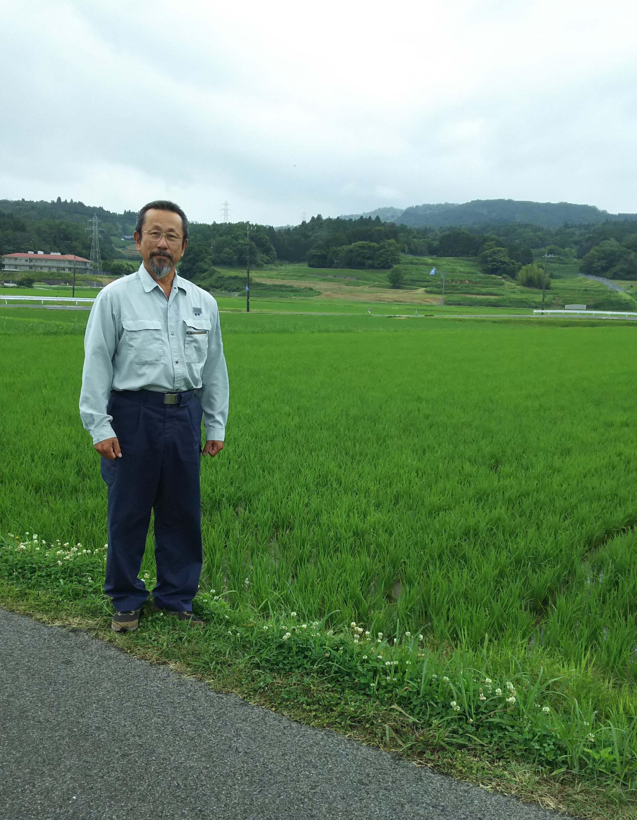 福地さんの田んぼ