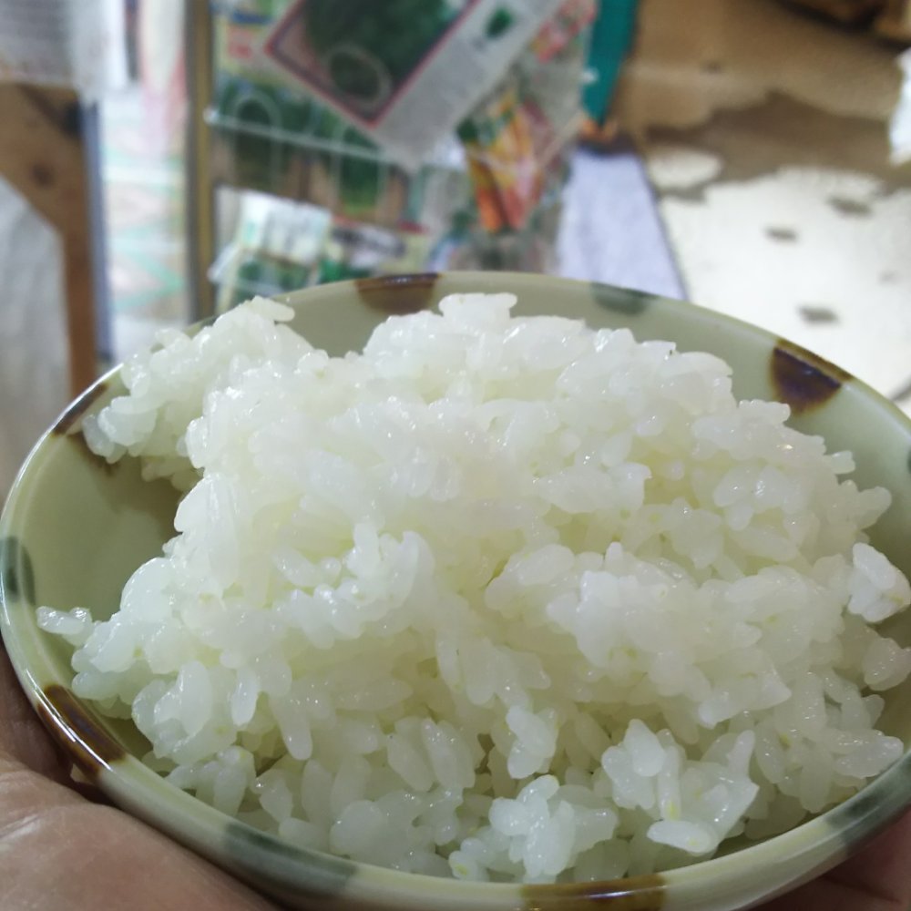 北信の米。試食炊き