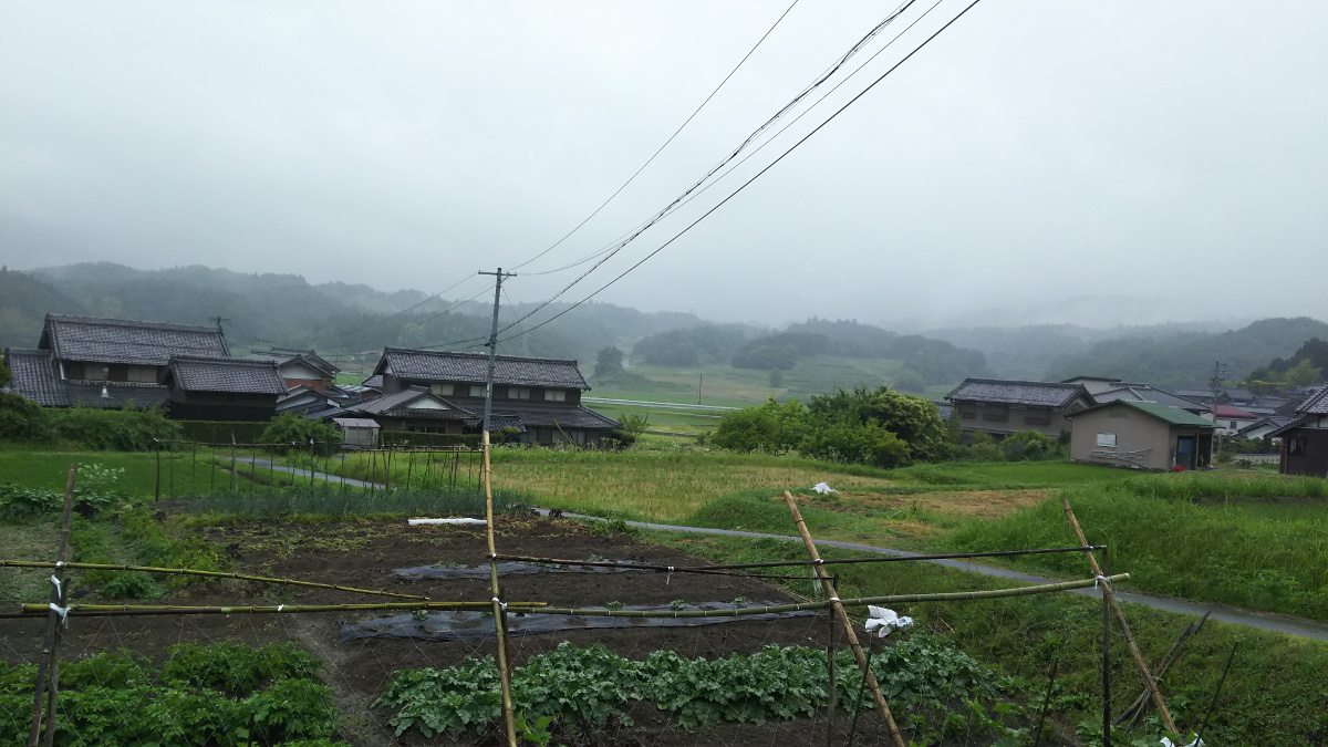 浜りんご販売中