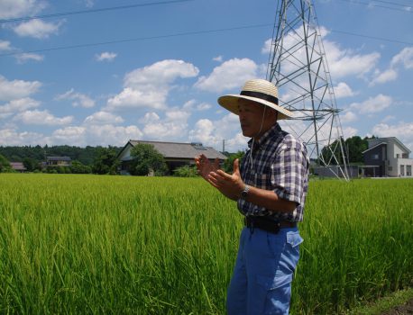 新米めじろ押し