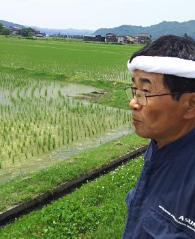 令和元年産　魚沼一日市のコシイブキ