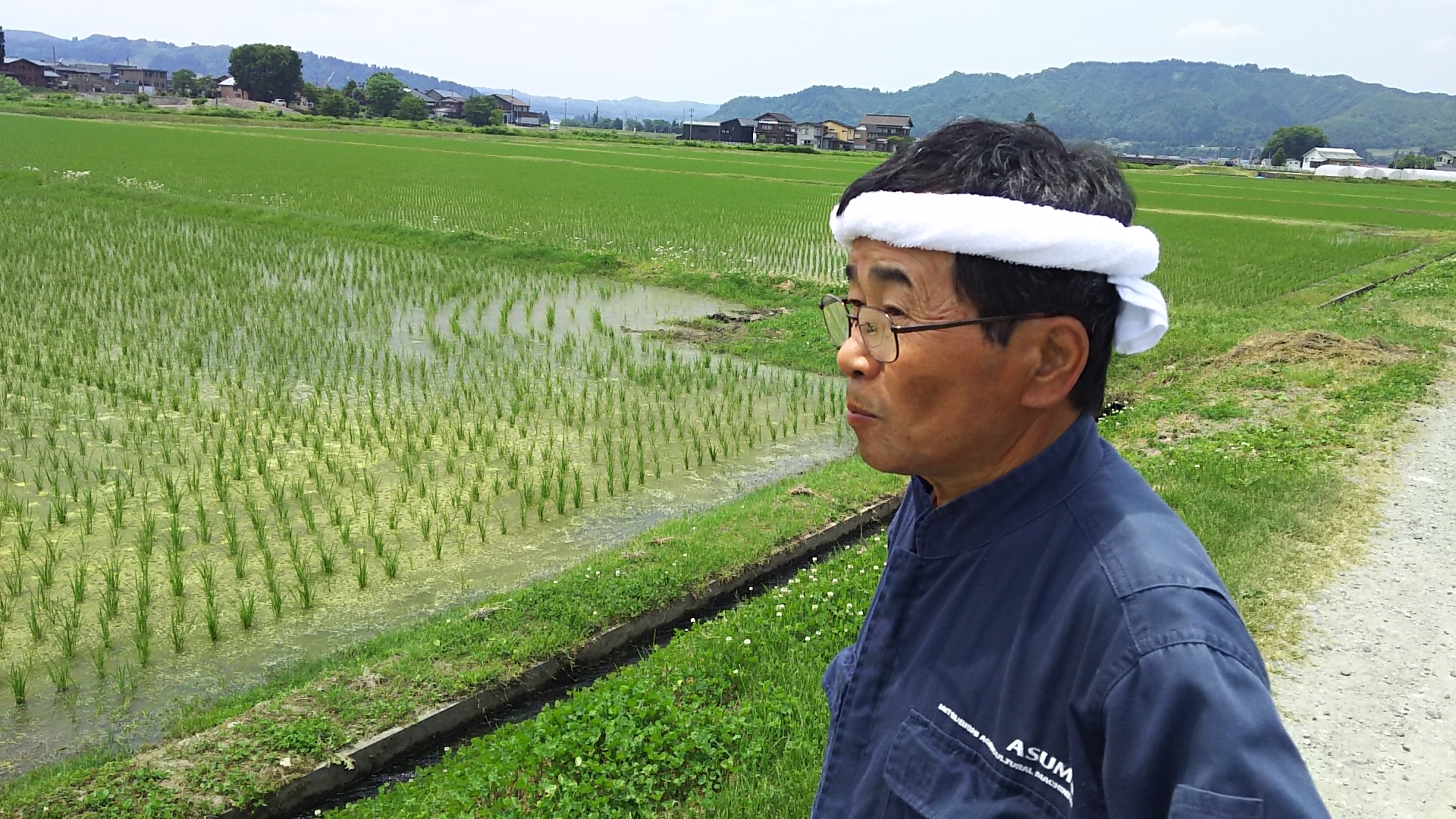 令和元年産　魚沼一日市のコシイブキ