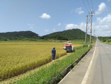 流通方法が違う！