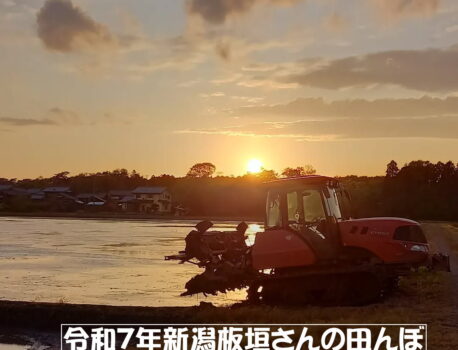 新米の入荷についてのお知らせです。